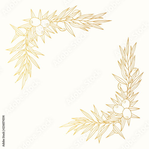 Hand drawn golden Greek olive branch corner. Oliva leave gold border for oil label. Vector isolated illustration.