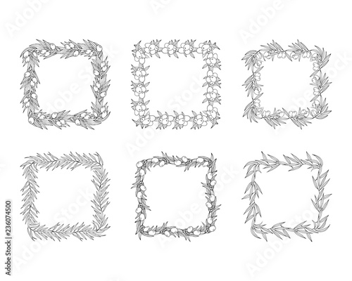 Set of hand drawn olive branch laurel wreaths. Greek oliva leave invitation square frame. Vector isolated illustration.