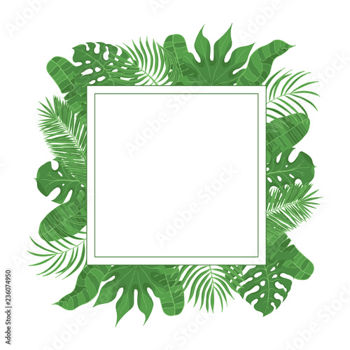 Hand drawn tropical leaves weddiing frame. Aralia, monstera, banana, coconut leaf border for invitation card. Vector isolated illustration.