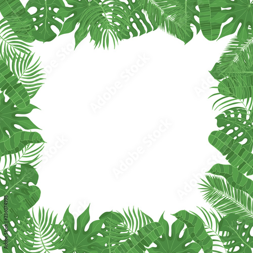 Hand drawn tropical leaves weddiing frame. Aralia, monstera, banana, coconut palm leaf border for invitation card. Vector isolated illustration.