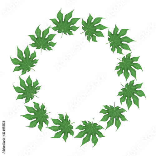 Hand drawn aralia leaves jungle frame. Tropical leaf invitation card border. Palm wreath. Vector isolated illustration.