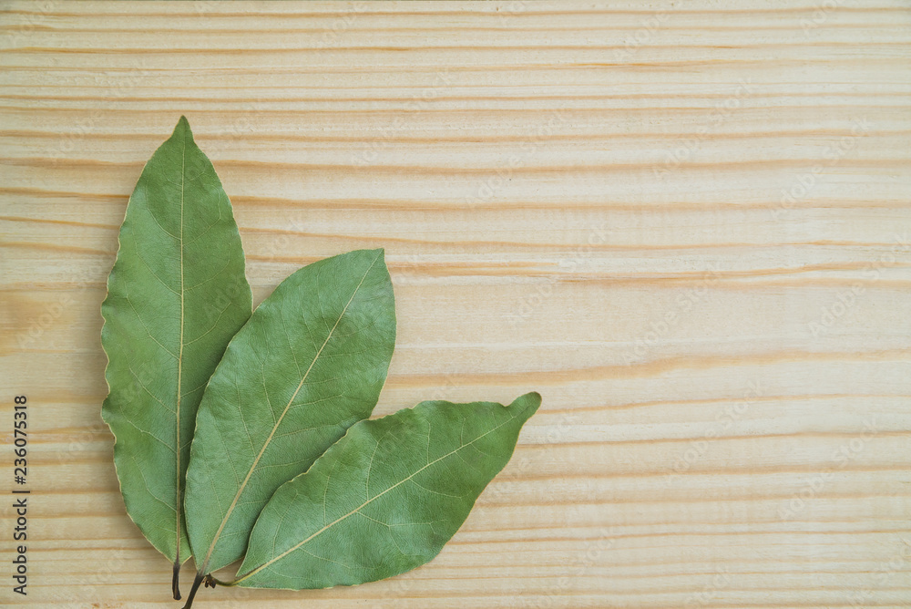 Bay leaf on wooden background copy-space Bay leaf on wooden background copy-space