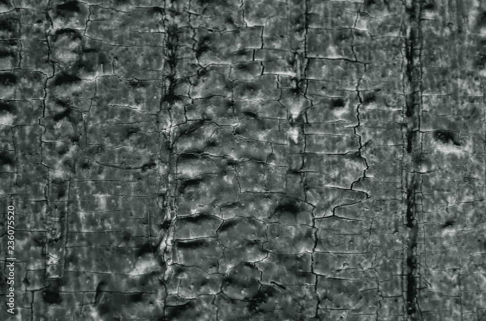 Wooden texture background. Old wooden door with dark paint cracked by a rustic background Wooden texture background. Old wooden door with dark paint cracked by a rustic background