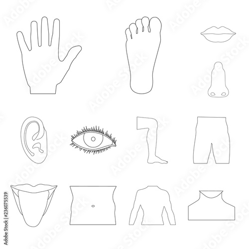 Vector design of human and part logo. Set of human and woman stock symbol for web.