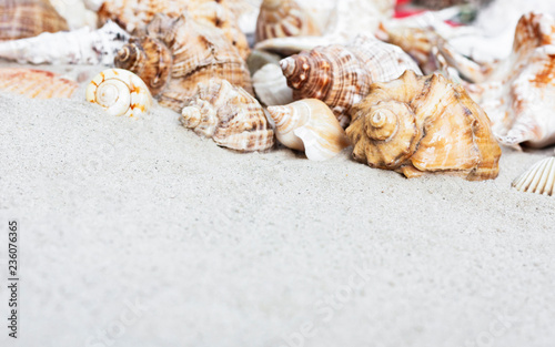 Summer background with copy space for text - seashells on the sand, beach in Thailand 