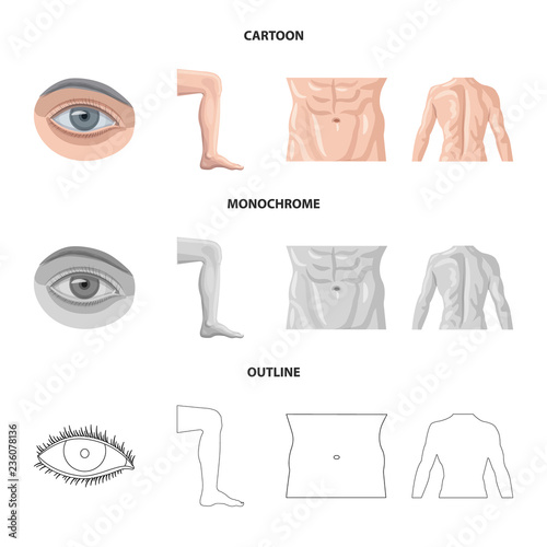 Vector illustration of human and part symbol. Collection of human and woman stock vector illustration.