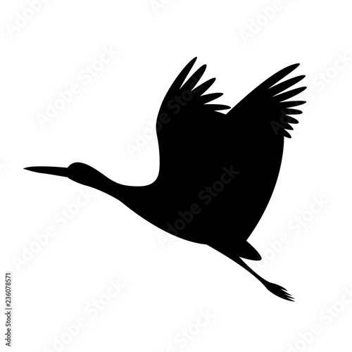 stork bird flying, vector illustration ,  