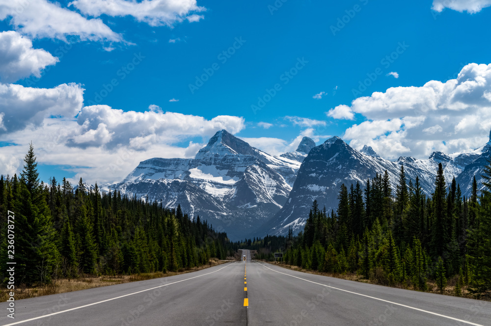 Naklejka premium Icefield Parkway in Jasper national park