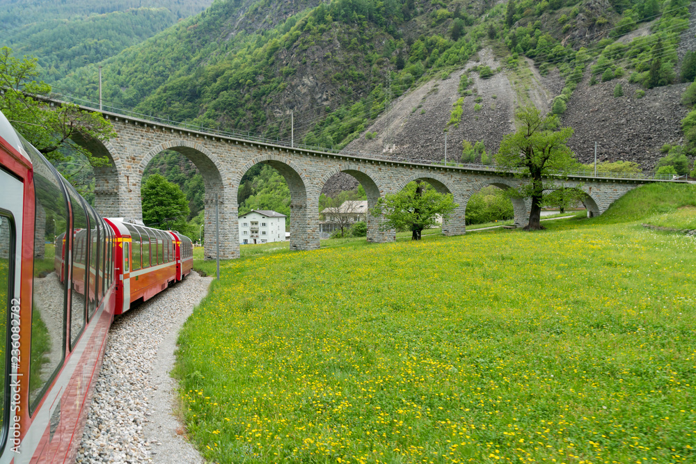 Fototapeta premium Scenic Train Ride in Switzerland on the Bernina Express