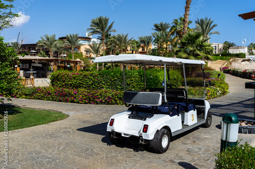 Buggy Car or Golf Cart Waiting Clients in Hotel extreme closeup.