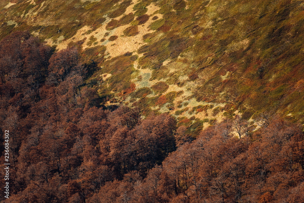 beautiful autumn mountain landscape, amazing nature beautiful autumn mountain landscape, amazing nature