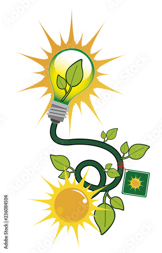 green sloar energy bulb photo