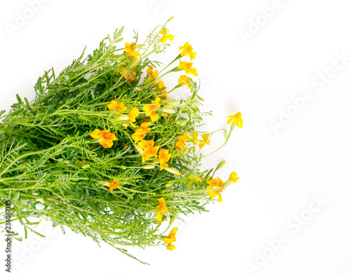 yellow bunch of Tagetes tenuifolia, Organic edible flowers