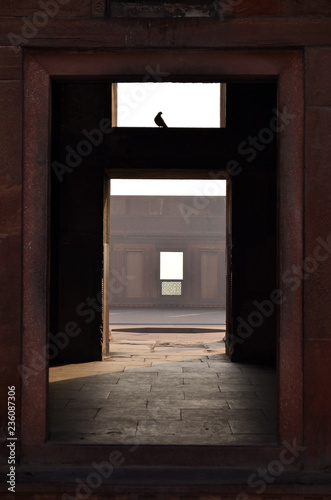 Perspective, Fort d'Agra, Uttar Pradesh, Inde