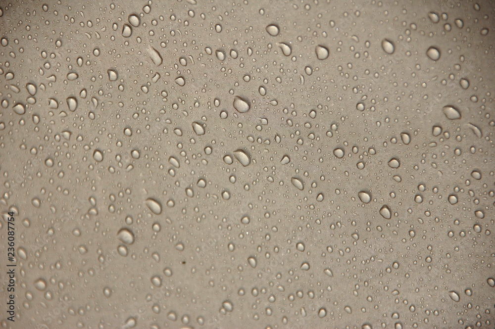 Drops on tent Drops on tent