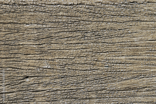 Rough Surface Wood Texture