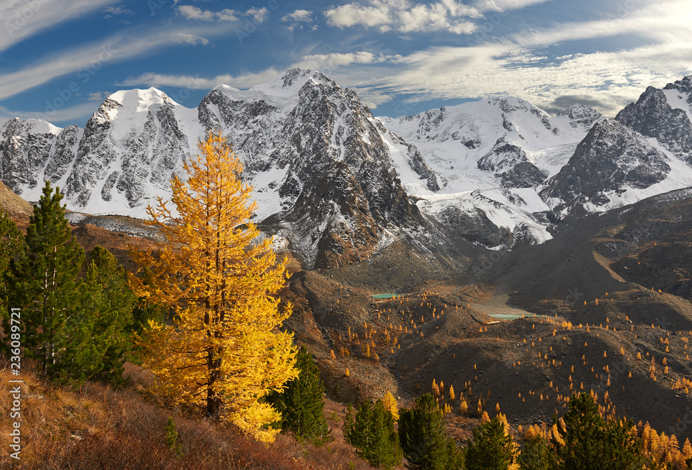 Fototapeta premium Altai mountains, Russia, Siberia.