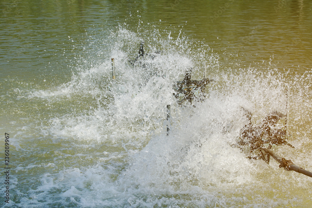 Spinning Paddle Wheel Aerators with Water Splash in the Pond