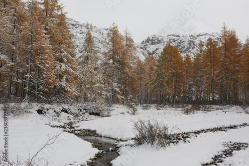 Wallpaper Mural Altai mountains Torontodigital.ca