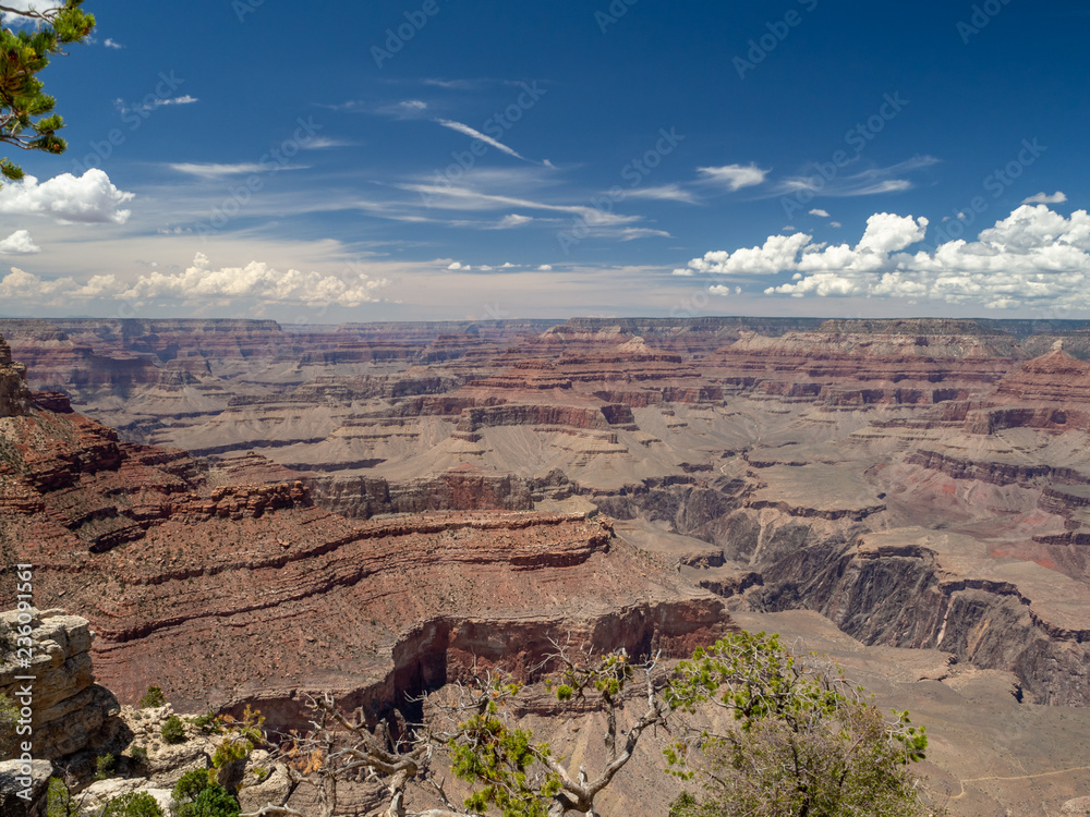 Grand Canyon National Park, South Rim, Arizona / Nevada, USA : [ Canyon panoramic views, Colorado river ]