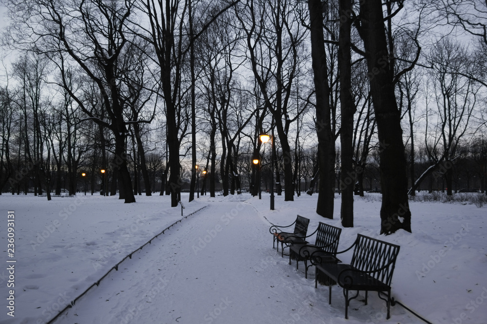 winter twilight in the Park