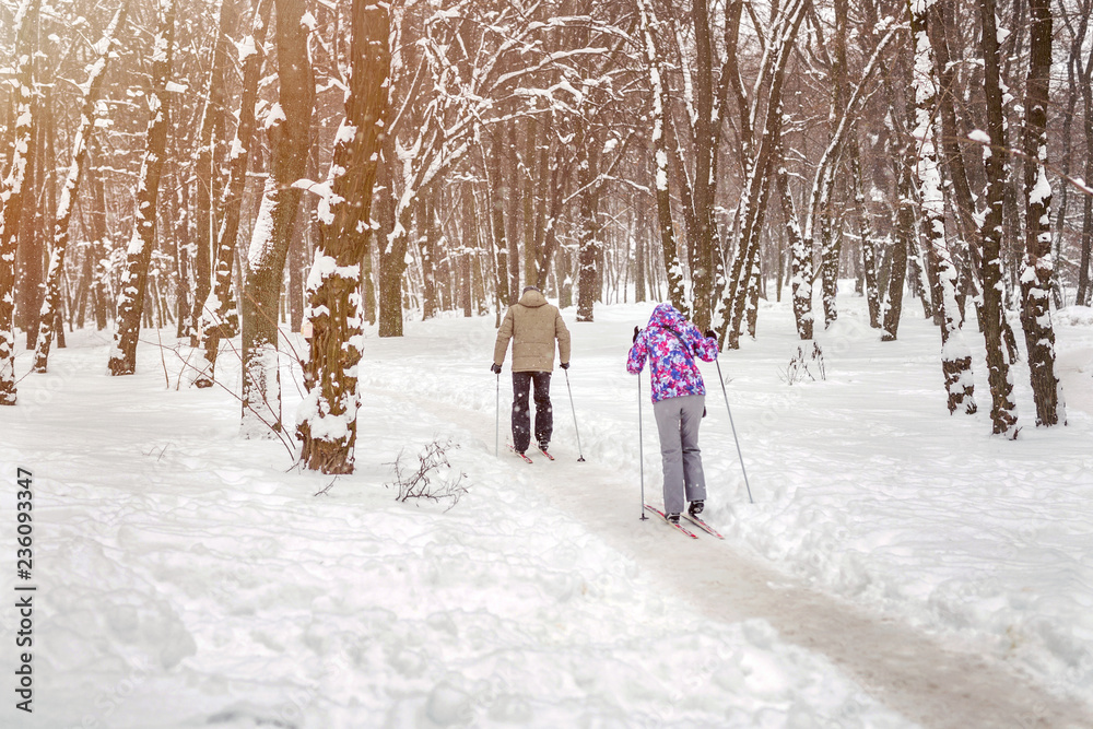 Couple of people enjoying cross-country skiing in city park or forest in winter. Family Sport outdoor activities in winter season concept. Healthy lifestyle