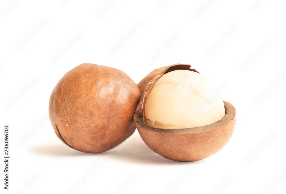 Close up macadamia nuts isolated on white background. Close up macadamia nuts isolated on white background.