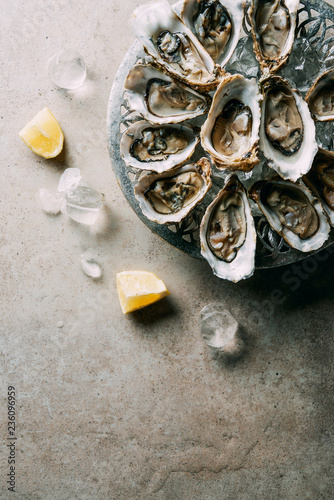 top view of arranged oysters in bowl, ice cubes and lemon pieces on grey tabletop