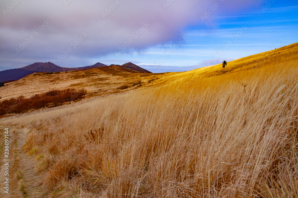 Obraz premium Landscape of autumnal peaks of the Carpathians.