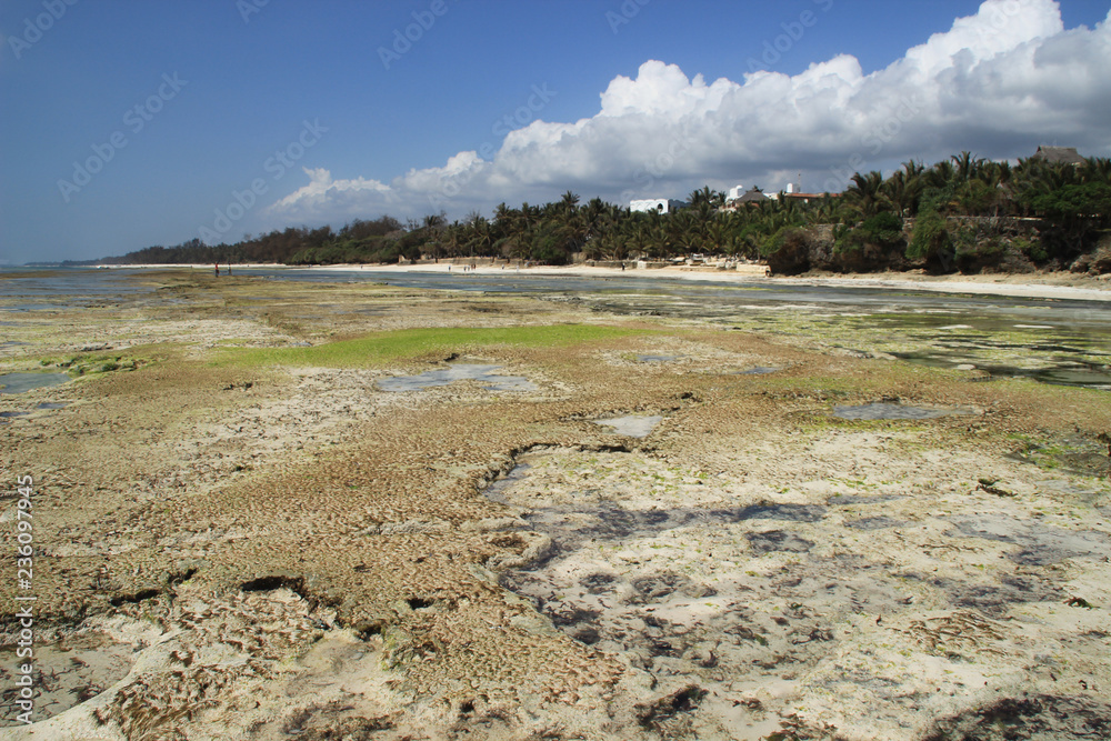 Low tide on Diani Beach, the coast of the Indian Ocean. Kenya, Africa Low tide on Diani Beach, the coast of the Indian Ocean. Kenya, Africa