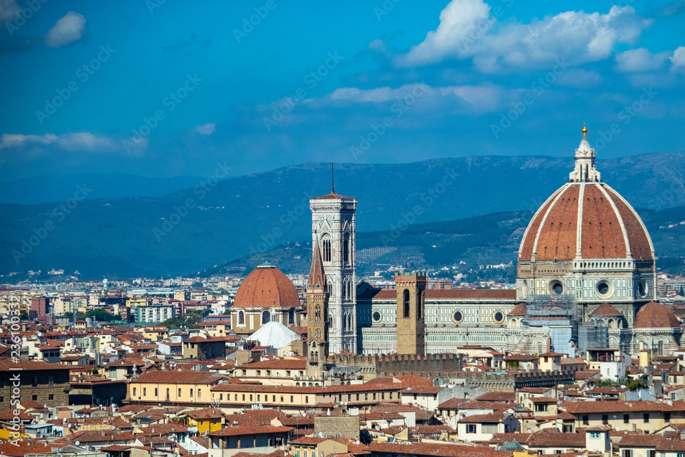 Fototapeta premium Florence View