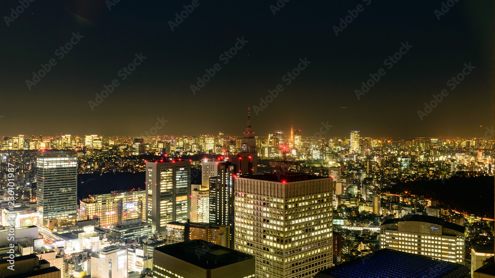 東京夜景　新宿ビル群　東京都庁からの眺め