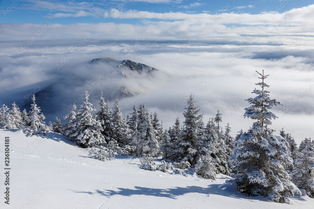 Beautiful winter mountain landscape in the Carpathians, Romania. Above the clouds, sea of clouds.