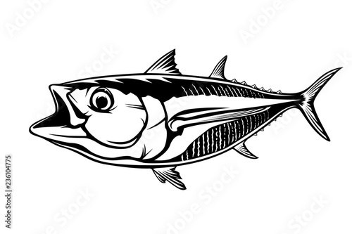 Tuna big fishing on white logo illustration. Vector illustration can be used for creating logo and emblem for fishing clubs, prints, web and other crafts.