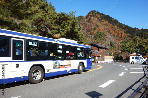 紅葉の山に走るバス