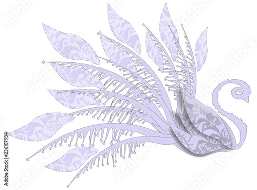 cigno