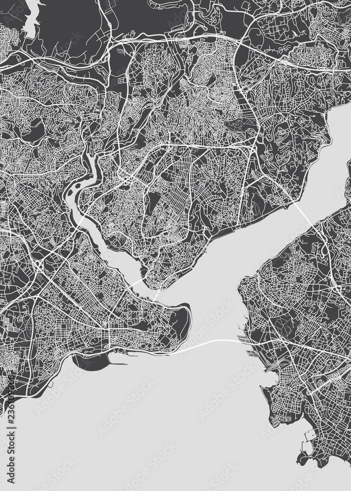 City map Istanbul, monochrome detailed plan, vector illustration