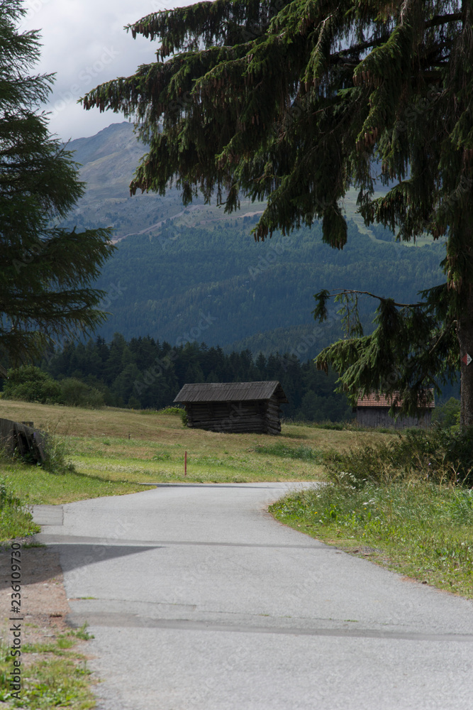 Paesaggio alpino