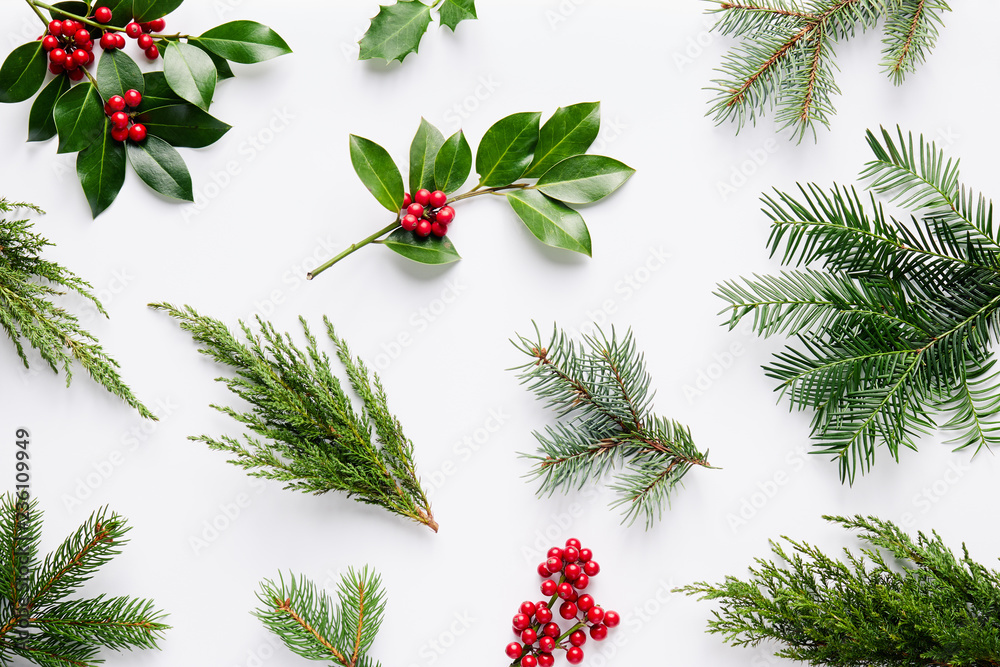 Collection of decorative Christmas plants with green leaves and holly berries. - obrazy, fototapety, plakaty 
