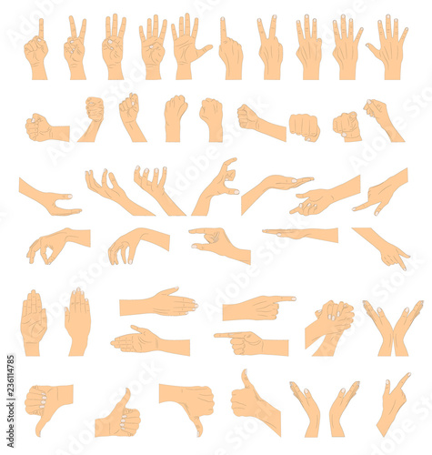 Hand gestures. Vector illustration.