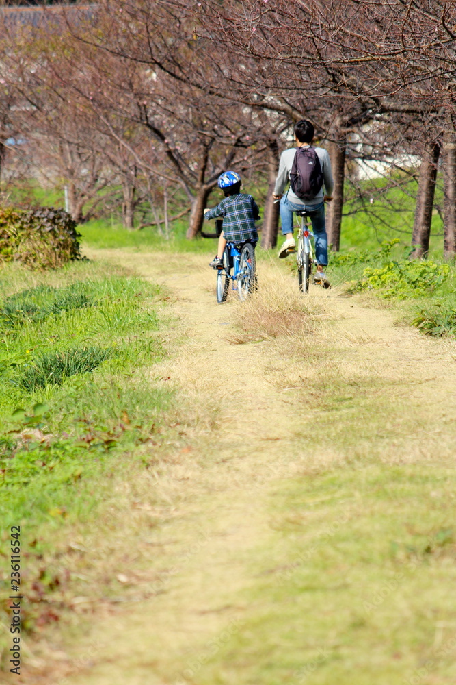 Naklejka premium 子どもとサイクリング