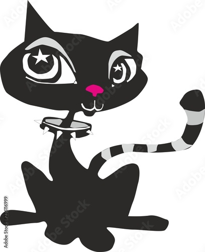 gato
