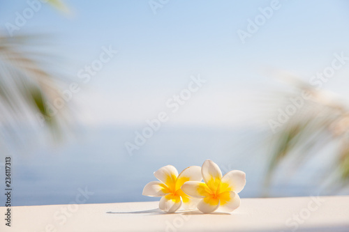 Frangipani flowers on the background of the sea. © Tatiana Nurieva
