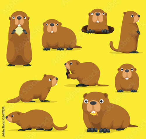 Groundhog Chuck Woodchuck Groundpig Whistlepig Cute Cartoon Vector Illustration