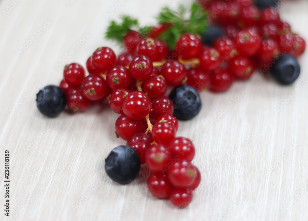 a bunch of red currant for decoration a bunch of red currant for decoration
