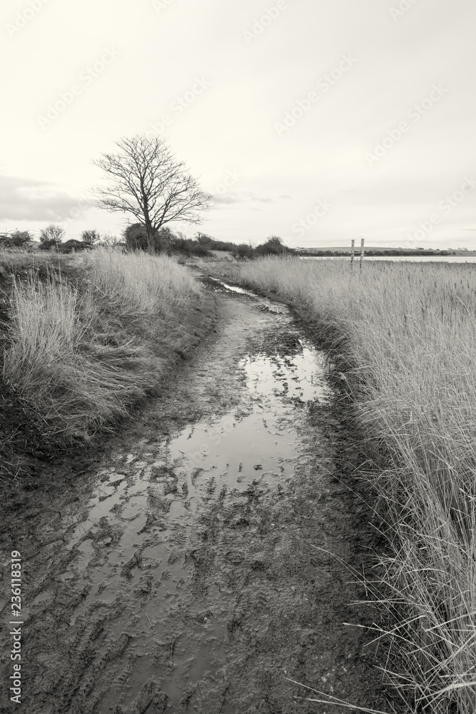 A moody gloomy wet muddy dirt track on a winters day in the countryside in england. Dark, sinister, lonely and depressing pathway. Photographed in black and white.