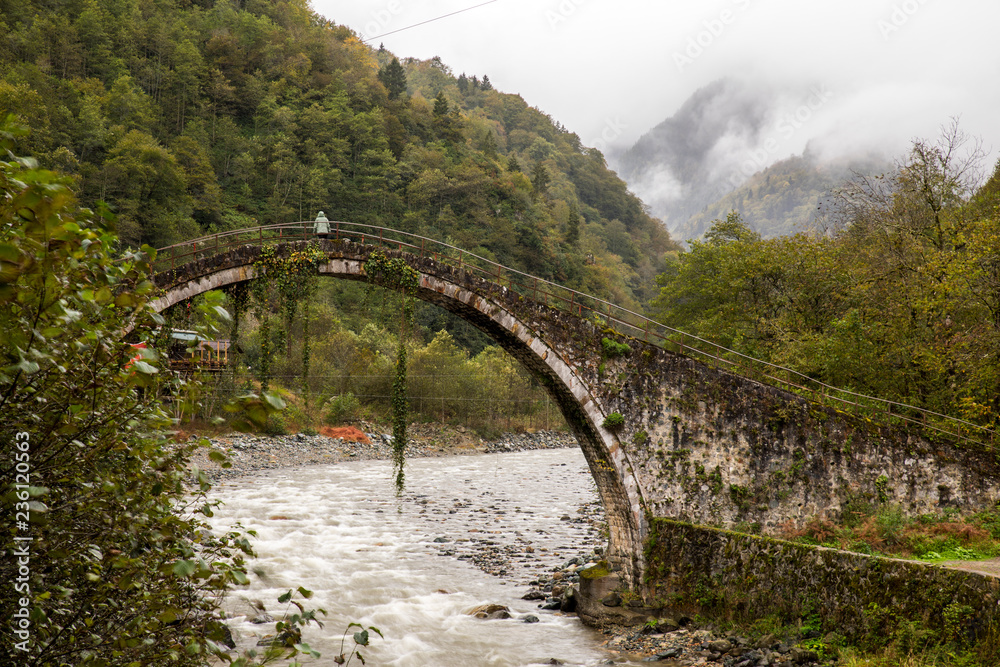 Fototapeta premium Mikron Bridge , Turkey
