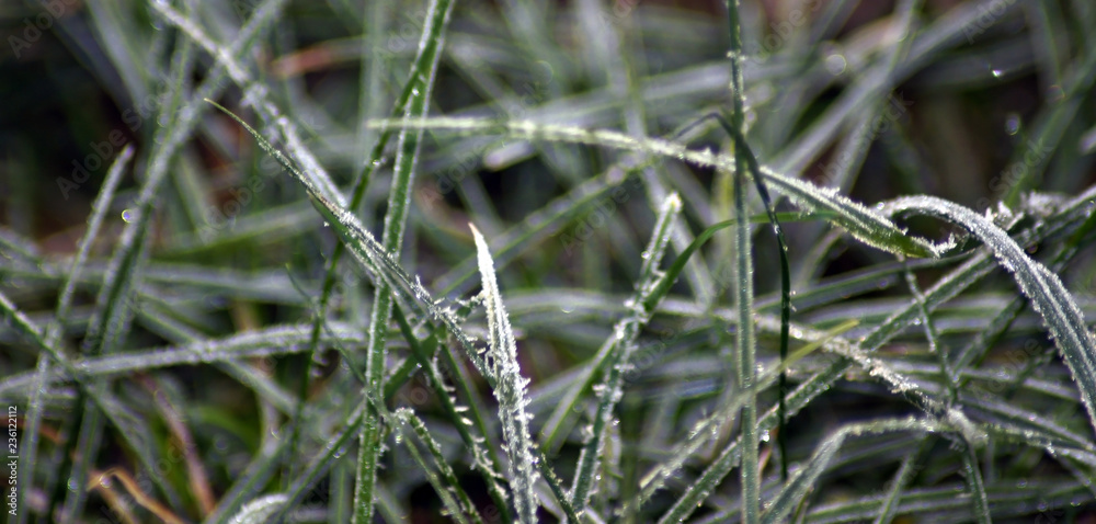 Frostige Zeiten im Winter Frostige Zeiten im Winter