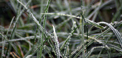 Frostige Zeiten im Winter