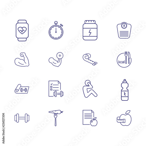 Musculature icons. Set of line icons. Bodybuilding, dieting, sport nutrition. Fitness concept. Vector illustration can be used for topics like healthy lifestyle, sport, losing weight